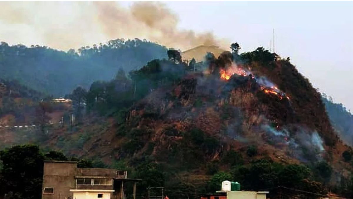 Uttarakhand Forest Fire: 657 Hectares Area Gutted As Blaze Wreaks Havoc In Hill-State, Army Roped In To Douse Flames